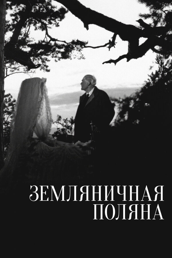 Земляничная поляна - постер фильма